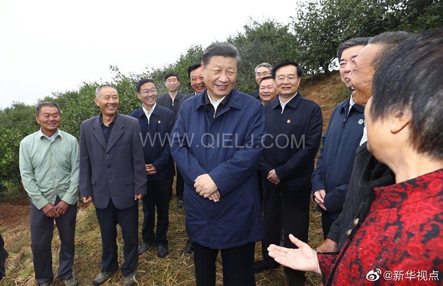 光山油茶籽榨油設備，山茶籽油榨油機廠家(圖2)