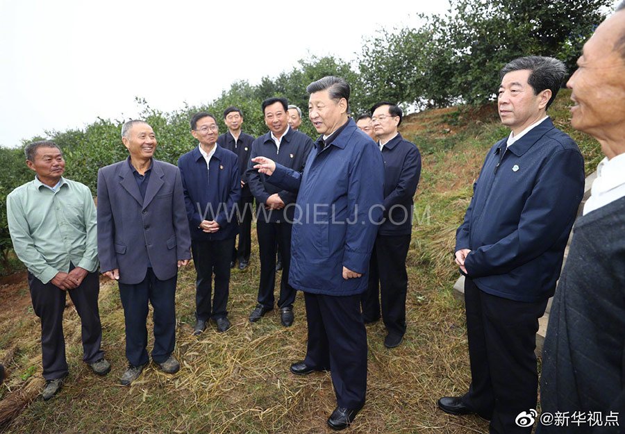 光山油茶籽榨油設備，山茶籽油榨油機廠家(圖3)